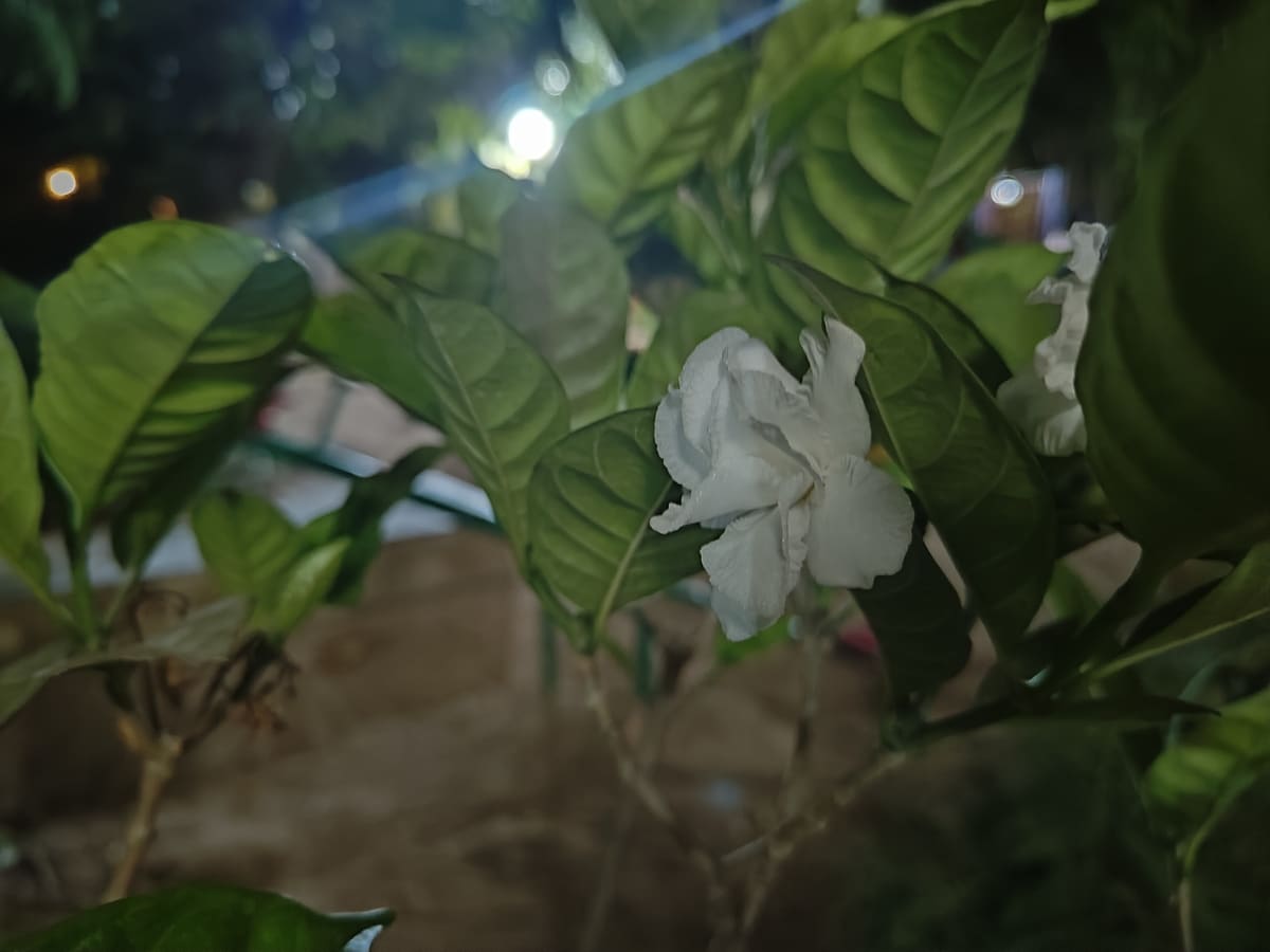 img202205022230204